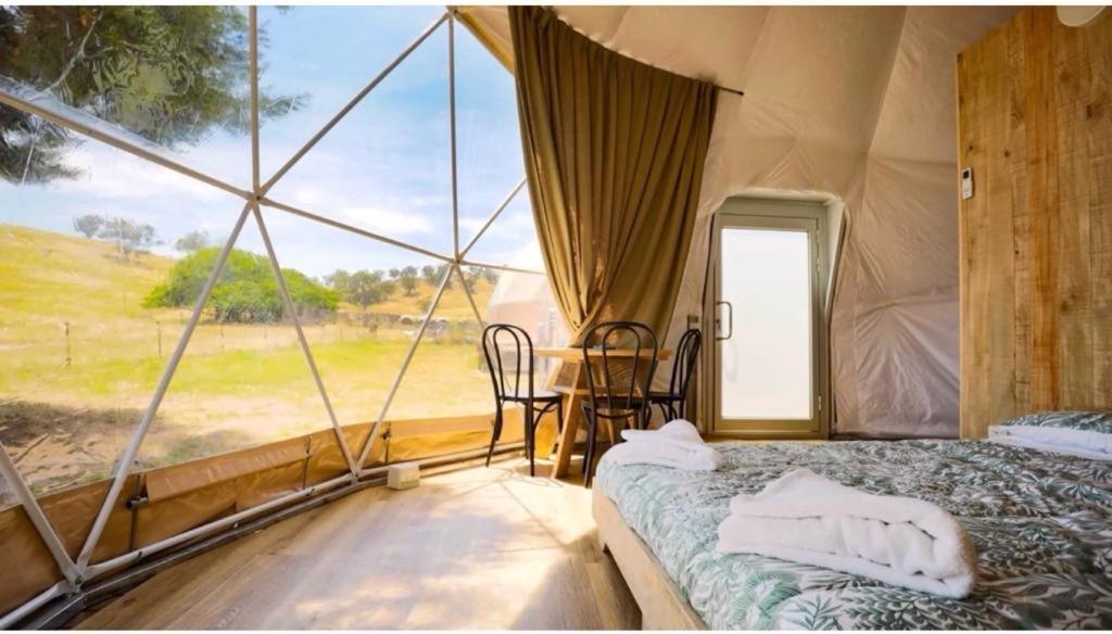 Caravans Park & Glamping Tents In The Vineyard Villa Turda Exterior photo